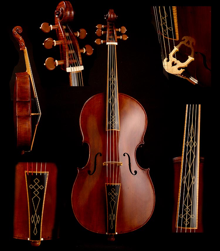 violoncello piccolo- by Warren Ellison